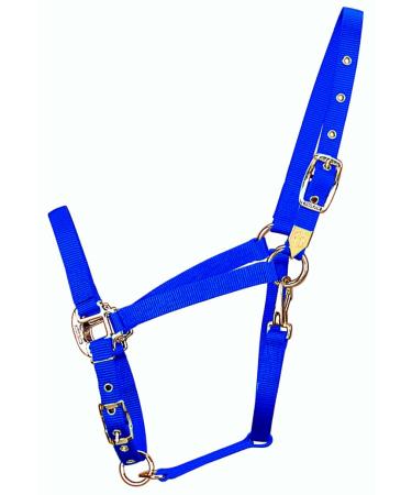 Hamilton 3/4-inch Nylon Arabian Horse holder with Adjustable Chin and Throat Snap Average 800 to 1100 Pounds Blue Average 800 To 1100 Pounds Blue