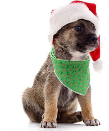 Buy Lionet Paws Christmas Dog Bandana - Gingerbread Man Design for Small Medium & Large Dogs | Triangular Headscarf Towel (1 Pack) - Buy Online on GoSupps.com