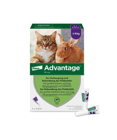 Elanco Advantage spot-on 80 For large cats and ornamental rabbits from 4 to 8 kg effective protection against fleas and flea infestation up to 4 weeks simple spot-on application 4 pipettes with 0.8 ml solution - Buy Online on GoSupps.com