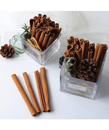 Xbiez 5 Pieces Natural Dried Cinnamon Sticks | High-Quality Organic Cinnamon for DIY Candles Soap Cooking & Tea - International Shipping Available - Buy Online on GoSupps.com