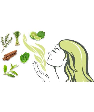 Anti-Viral Remedy Oil with Nasal Inhaler Stick - Powerful Virus Killing Essential Oils Blend for Lungs & Airways. Combat Viruses, Bacteria & Germs. Refresh & Reuse - Buy Online on GoSupps.com