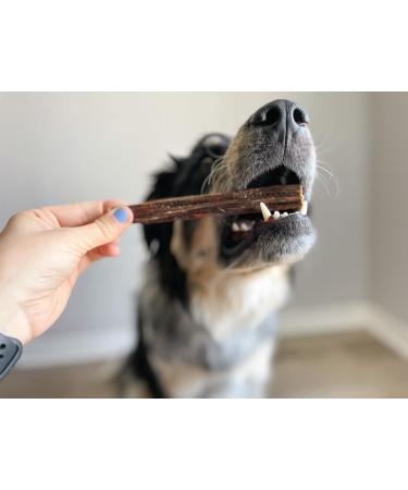 Bully Bunches All Natural 6 Inch Beef Jerky Sticks Soft and Crunchy Gullet Chews - Odour Free Rawhide Free Chemical Free Safe Healthy and Nutritious Dog Treats for Light Chewers 40 Pk 6 Inch 20 count (Pack of 1) - Buy Online on GoSupps.com