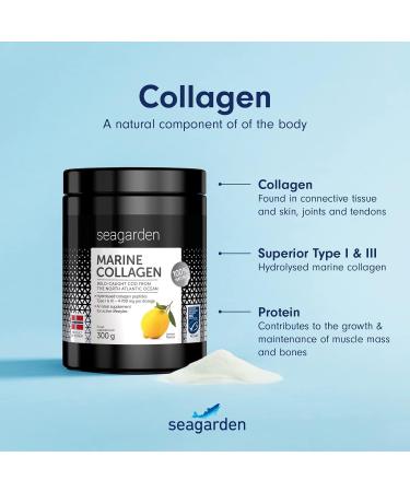 Seagarden Marine Collagen Powder - Wild-Caught Arctic Cod Peptides for Skin, Hair & Health - 300g Lemon Protein Supplement - Buy Online on GoSupps.com