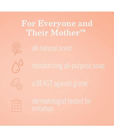 Earth Mama Sweet Orange Foaming Hand Soap 5.3oz | All-Purpose Castile Body Wash | Vegan & Organic - Buy Online on GoSupps.com
