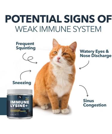 PETPAL L-Lysine Immune and Respiratory Support Supplement for Cats | Pure Bioactive Lysine + | Eye Function Runny Nose Sneezing Feline Conditions | Easy to Serve | Cats of All Ages | 4oz / 120g WT - Buy Online on GoSupps.com