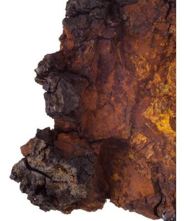 EKSTRASENS | Tonic Gel | Body Care Toning & Moisturizing | Reduces the Feelings of Heaviness & Swelling | Siberian Ginseng | 97% Natural Origin | Made in France | 75ml - Buy Online on GoSupps.com