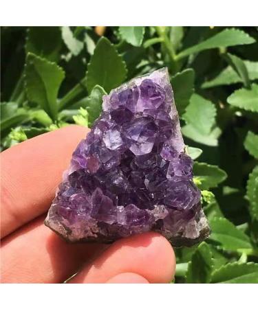 1Pcs Natural Uruguay Amethyst Cluster Home Decoration Purple Crystal Stone Specimens Cluster Decor Uruguay Cluster 20-30 Reiki Crystal Stone (Color : Uruguay Cluster Size : 30-40g) 30-40g Uruguay Cluster - Buy Online on GoSupps.com