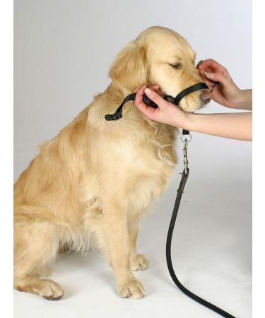 Kerbl Maxi Coach Harness Size 2 Black - Buy Online on GoSupps.com