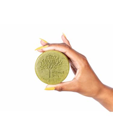 Organic Moringa Soap Bar for Gentle Body Wash | Improve Skin with Moringa Seed Oil | Acne-Fighting Hand Soap for Men & Women | Pack of 5 - Buy Online on GoSupps.com