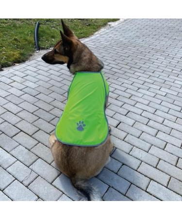 Reflective Dog Warning Vest - Safety Jacket for Dogs | Robust Lined Fabric Sizes Available in Neon Green - Buy Online on GoSupps.com