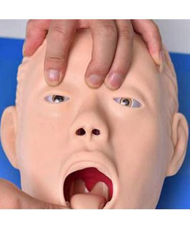 Buy Human Body Airway Management Trainer - PVC Intubation Teaching Model for Oral-Nasal-Tracheal Training | International Shipping Available - Buy Online on GoSupps.com