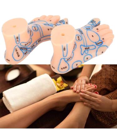 Foot Acupuncture Model - 13 cm Waterproof Teaching Tool for Acupuncturists & Students | Ideal Educational Resource - Buy Online on GoSupps.com