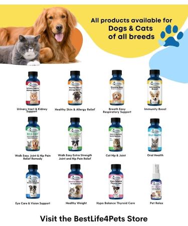 BestLife4Pets Oral Health for Cats - Dental Care Supplement for Stomatitis, Gingivitis & Gum Disease - Anti-inflammatory Pain Relief - 450ct Easy-to-Use Pills - Cat Supplies - Buy Online on GoSupps.com