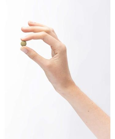 Dr. Mercola Organic Fermented Moringa - 270 Biodynamic Tablets for Natural Wellness - Buy Online on GoSupps.com