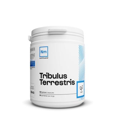 Tribulus Terrestris - 120 capsules - Men's Testosterone Booster - Concentrated in saponins - Sports performance | Nutrimuscle