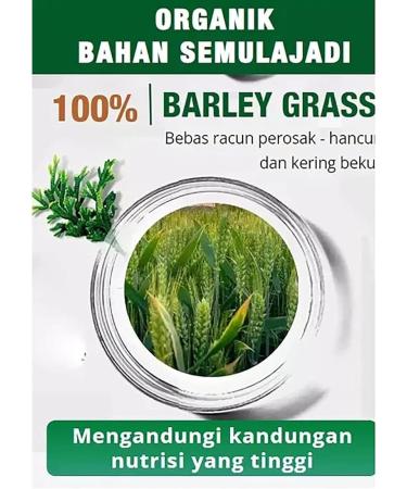  NNBWLMAEE Soft Seedling Powder for Flowers and Plants 100% Pure Organic Food Fiber for Flowers and Plants Solid Beverage for Barley Seedling (2pcs) - Buy Online on GoSupps.com