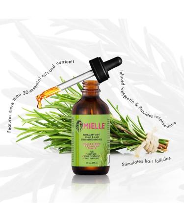 Mielle/Rosemary Mint/Scalp & Hair Strengthening Oil/Healthy Hair Growth / 2 oz (59ml) / (Pack of 3) - Buy Online on GoSupps.com
