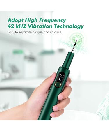 Electric Rechargeable Plaque Remover with LED Light - Teeth Cleaning Kit for Adults - Oral Care at Home - Green (3 Replacement Heads) - Buy Online on GoSupps.com