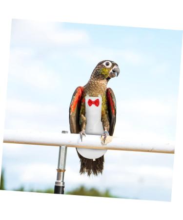 Buy PopetPop Flying Bird Diapers - Stylish Sittich-Outfit Bowknots for Parrots & Pigeons | High-Quality Cotton Bird Clothing 22x12cm - Buy Online on GoSupps.com