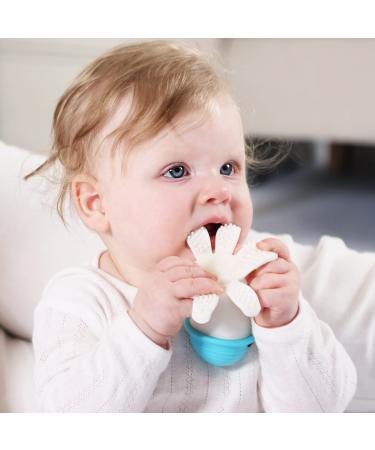 Mombella Ollie Octopus Silicone Baby Teething Toy for 3M+ Infants  Soft Silicone Baby Teether for Front and Back Teething Pain Relief  Blue
