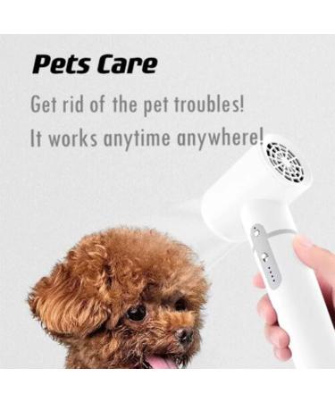 Portable Cordless Hair Dryer Wireless Blow Dryer w/3 Heat Modes Rechargeable & Detachable Battery Handle Travel Hairdryers for Indoors Outdoors - Buy Online on GoSupps.com