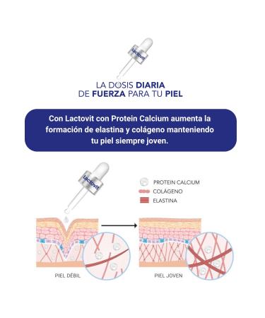 Lactovit Firming Body Milk 400ml - Protein Calcium & Caffeine for Normal Skin | International Shipping - Buy Online on GoSupps.com