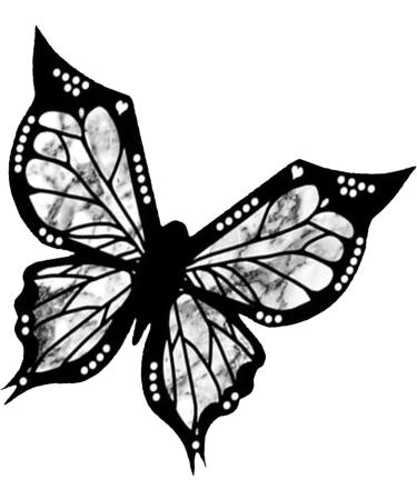 Reusable Butterfly Stencils for Makeup Lovers - Buy Online on GoSupps.com