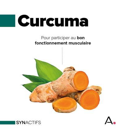 ARAGAN - Synactives - Dolactif - Anti-inflammatory Food Supplement - Turmeric PEA Boswellia Chamomile - 12 Capsules - 5 to 20 capsules taken - Made in France - Buy Online on GoSupps.com