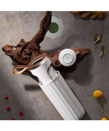 Lanlousy Smart Moxibustion Box - Smokeless Fumigation Device for Home Acupuncture & Massage | Personal Care Solution - Buy Online on GoSupps.com