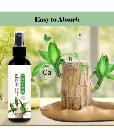 Brazilian Wood Plant Food Lucky Bamboo Liquid Fertilizer Lucky Brazilian Wood Houseplant Fertilizer Brazilian Wood Flowering Special Nutrient Solution (1pcs) - Buy Online on GoSupps.com