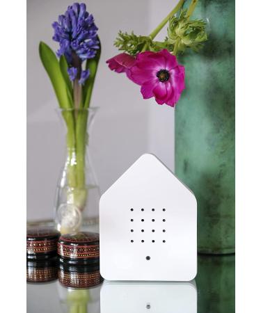 Brainstream Zwitscherbox Classic White Sound Therapy Machine with Motion Sensor - Buy Online on GoSupps.com