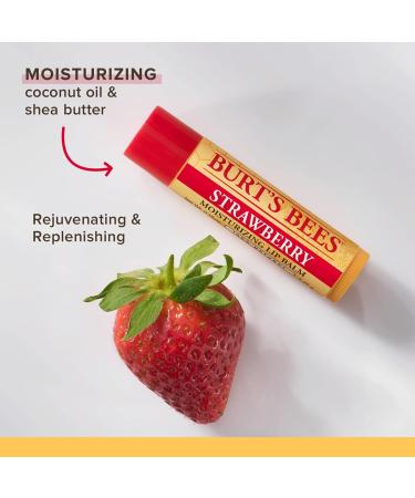 Burt's Bees Moisturizing Lip Balm 4 Pack - Assorted Flavors (0.15 oz each) - Buy Online on GoSupps.com