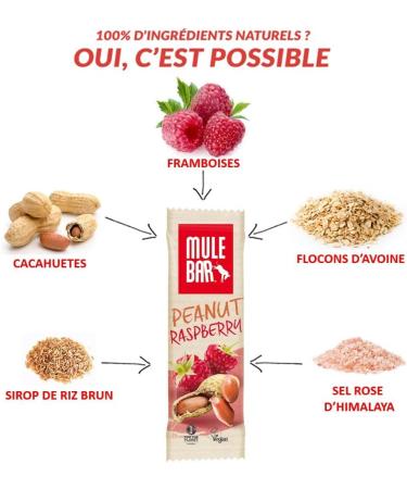 Mulebar - Energy Bar - Vegan - Peanut Raspberry - 40g - Buy Online on GoSupps.com