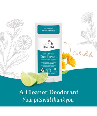 Earth Mama Ginger Fresh Deodorant | Safe for Sensitive Skin Pregnancy and Breastfeeding Contains Organic Ginger and Lime No Baking Soda or Aluminum 2.65-Ounce (2-Pack) NEW Ginger Fresh 3 Ounce (Pack of 2) - Buy Online on GoSupps.com