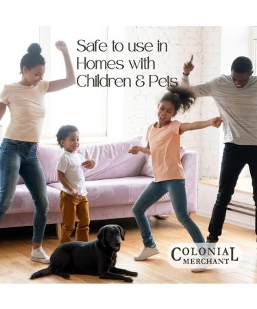 Colonial Merchant Foaming Hand Soap | Berry Hotcakes Scent Mixed Berries Vanilla Creme & Maple | Moisturizing Fall Hand Wash | Eco-Friendly Bottle | Made in USA | Kitchen Bathroom Gifting | 12oz - Buy Online on GoSupps.com