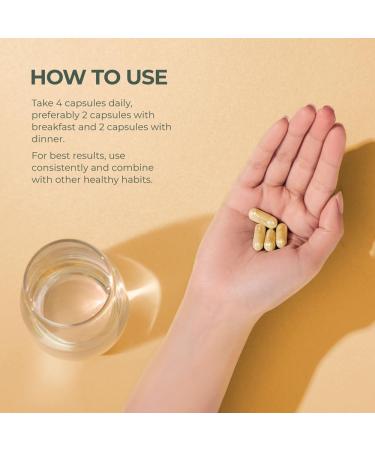 Primal Harvest 2 Pack Primal Bone Health Calcium Carbonate Bone Health Complex for Men & Women with Calcium Magnesium Zinc Manganese Potassium & L-Carnitine (240 Capsules) 2 Pack (120 Count) - Buy Online on GoSupps.com