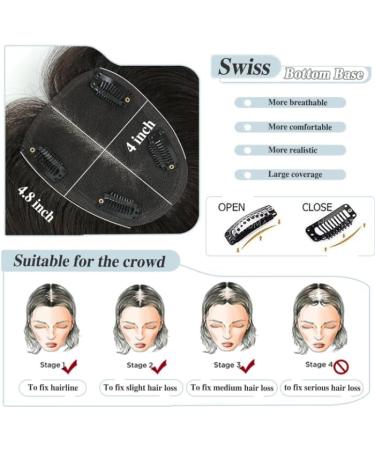 SEA SINGING Human Hair Toppers for Women Real Hair Topper with Thinning Hair 120% Density Round Shaped Swiss Base Clip in Fringe Human Hair Topper Top Hair Pieces 40g-Dark Brown(12inch 2#) 2# 12inch - Buy Online on GoSupps.com