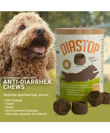 DIASTOP Dr. E.'s Dog Diarrhea Relief Natural Anti-Diarrheal for Dogs & Puppies Fast-Acting Soothes Upset Stomach Firms Loose Stool Bacon Flavor Safe for All Ages - Buy Online on GoSupps.com