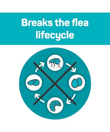 VioVet TermaFlea COMBO Flea & Tick Spot On Solution for Cats & Ferrets - 3 Pipettes - Buy Online on GoSupps.com