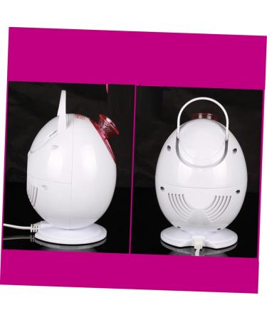 BIUDECO 1pc Facial Care Steamer Portable Face Steamer Portable Steamer Facial Spa Steamer Hair Steamer - Buy Online on GoSupps.com