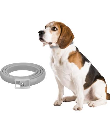Dewel 63.5cm Waterproof Tick Collar for Dogs & Cats | Effective Flea & Tick Prevention | Adjustable Neck Band - Buy Online on GoSupps.com