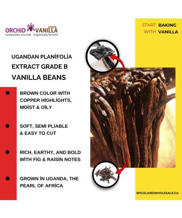 Ugandan Extract Grade-B Vanilla Beans For Extract Making By Count (15 Beans (Pack of 1)) - Buy Online on GoSupps.com