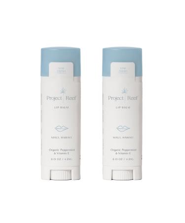 Cooling Lip Balm w/Organic Peppermint Shea Butter Vitamin E Hydrating Chapstick Soothe Dry Sunburnt Lips After Sun Care 2 Pack