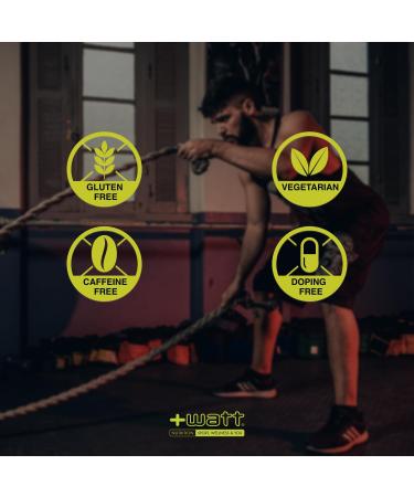 Watt Mass Formula MCT Gainer Support for your intensive workout Size 136 kg Cocoa flavor cocoa 1360 g - Buy Online on GoSupps.com