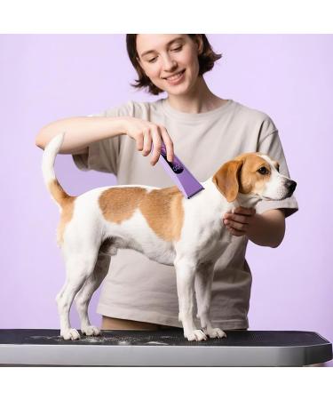 Senermter Body TrimmerReplaceable Facial Razor Multifunctional Portable Trimmer for Legs Face Arms Beard Eyebrows Intimate Zones Ears - Buy Online on GoSupps.com