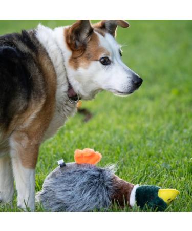 Petface Honking and Squeaky Duck Plush Dog Toy - Interactive Pet Play Toy - Buy Online on GoSupps.com