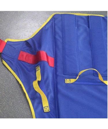 Full Body Patient Lift Slings Transfer Belt Lift Sling Carrier Transferring Belt Stairs Wheelchair Lift Sling for The Elderly Point Support Tranfer Sling Surprise Gift - Buy Online on GoSupps.com