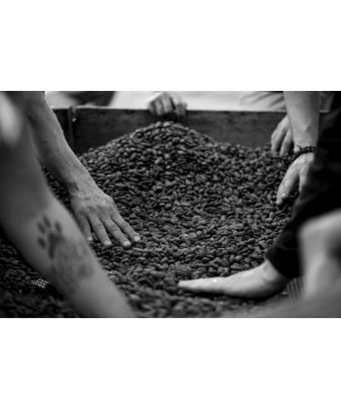 Cacao Barry Ghana Milk Chocolate Couverture Pistoles 40% - 1Kg - Single Origin - Buy Online on GoSupps.com