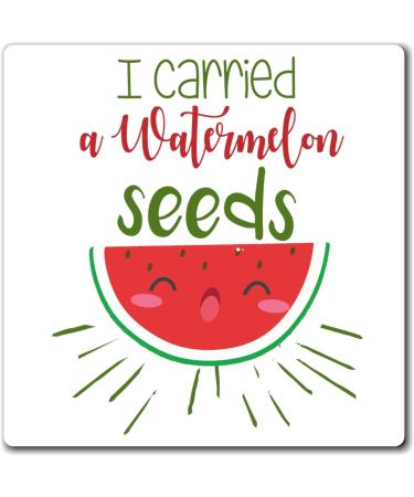 I Carried A Watermelon Seeds Watermelon Shirt | Maternity T Shirt | Family Reunion Shirt | Pregnancy T Shirt | Pregnancy Top Magnets 3" 3" - Buy Online on GoSupps.com