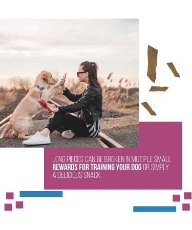 Revive Active Roasted Beef Treats for Dogs 240gr Dog and Puppy Chews - Pure and All Nutritive Low Calorie Training Treats - Large and Small Dogs Flavor Dogs Love. 240 g (Pack of 1) - Buy Online on GoSupps.com